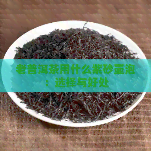 老普洱茶用什么紫砂壶泡：选择与好处