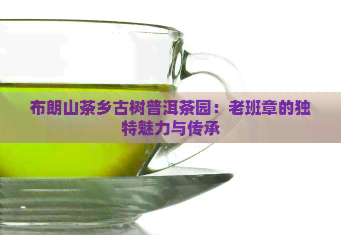 布朗山茶乡古树普洱茶园：老班章的独特魅力与传承