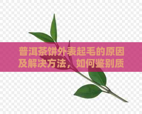 普洱茶饼外表起毛的原因及解决方法，如何鉴别质量？