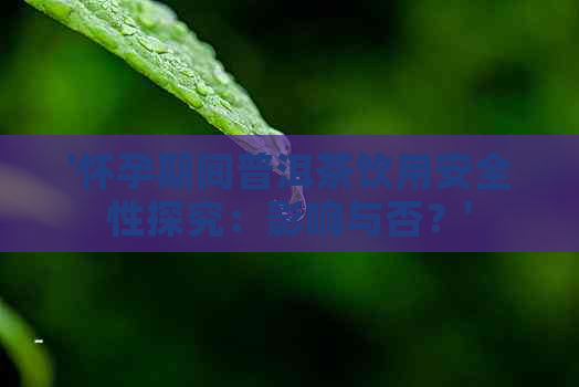 '怀孕期间普洱茶饮用安全性探究：影响与否？'