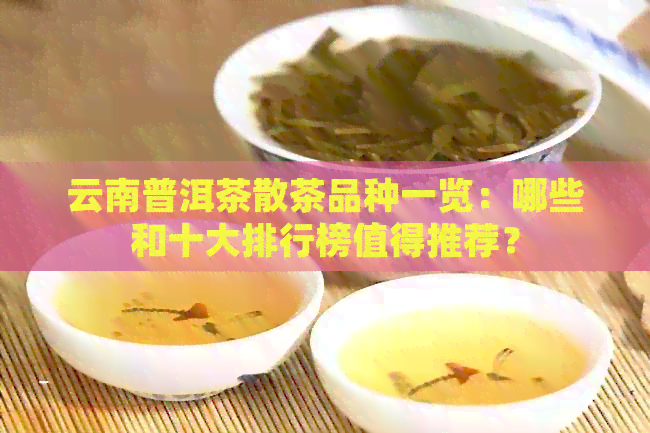 云南普洱茶散茶品种一览：哪些和十大排行榜值得推荐？