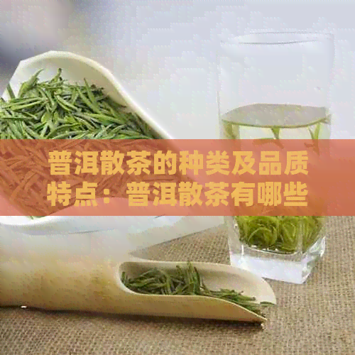 普洱散茶的种类及品质特点：普洱散茶有哪些种类？各种类的特点是什么？