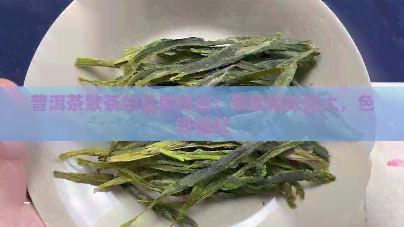 普洱茶散茶的品质特点：条索粗壮肥大，色泽褐红