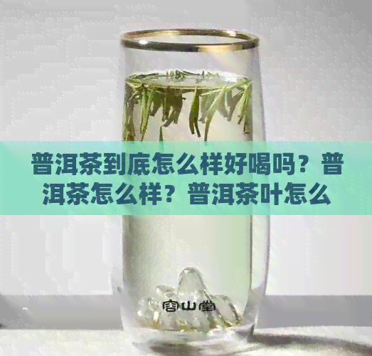 普洱茶到底怎么样好喝吗？普洱茶怎么样？普洱茶叶怎么样？