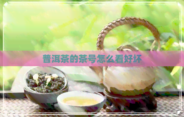 普洱茶的茶号怎么看好坏