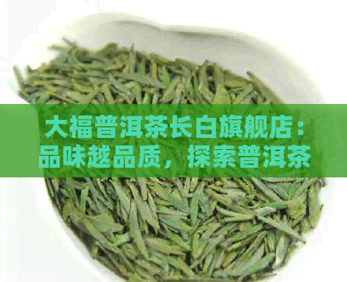 大福普洱茶长白旗舰店：品味越品质，探索普洱茶文化与养生之道