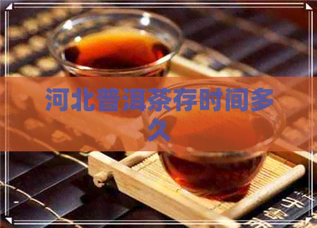 河北普洱茶存时间多久