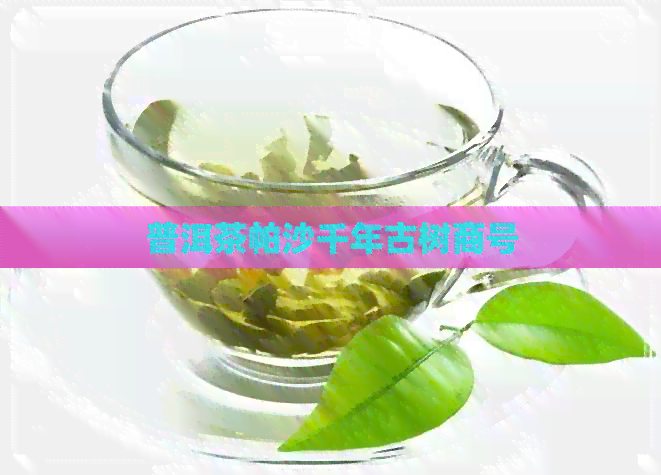 普洱茶帕沙千年古树商号