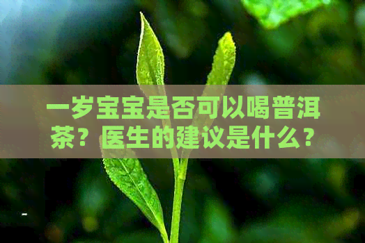 一岁宝宝是否可以喝普洱茶？医生的建议是什么？