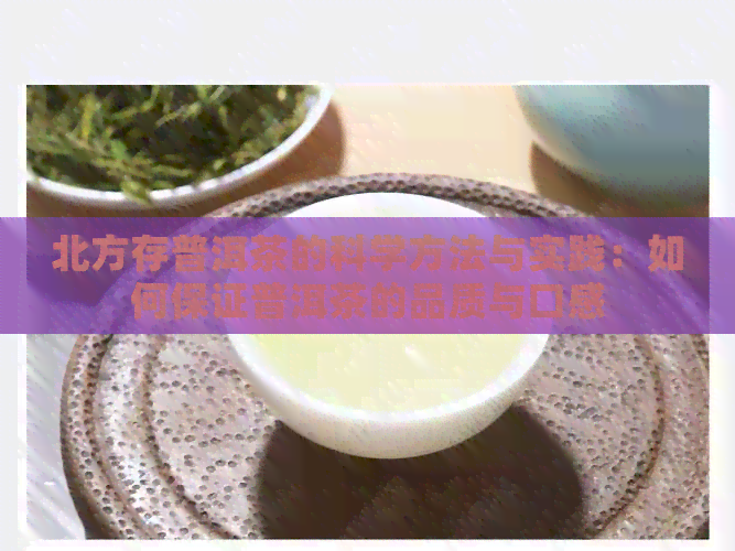 北方存普洱茶的科学方法与实践：如何保证普洱茶的品质与口感