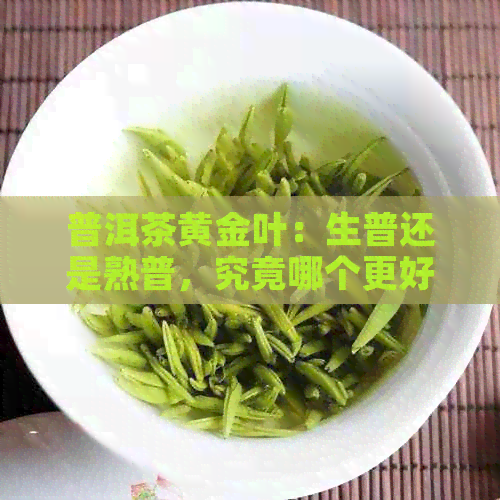 普洱茶黄金叶：生普还是熟普，究竟哪个更好？