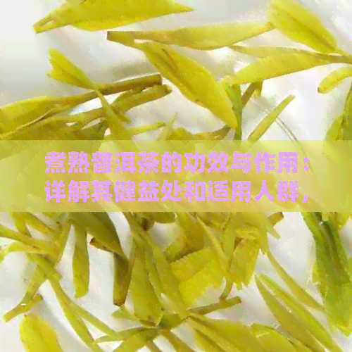 煮熟普洱茶的功效与作用：详解其健益处和适用人群，及正确烹饪方法