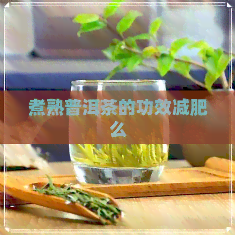 煮熟普洱茶的功效减肥么