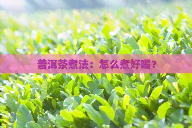 普洱茶煮法：怎么煮好喝？