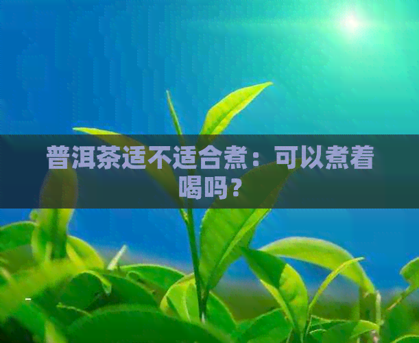 普洱茶适不适合煮：可以煮着喝吗？