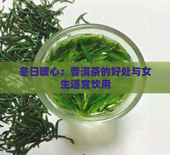 冬日暖心：普洱茶的好处与女生适宜饮用