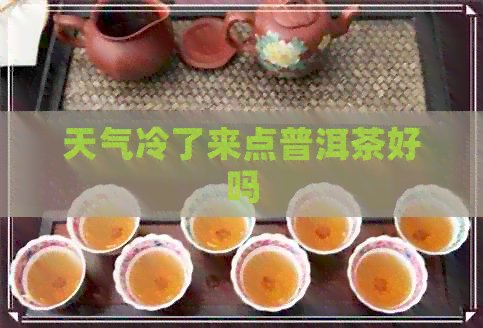 天气冷了来点普洱茶好吗