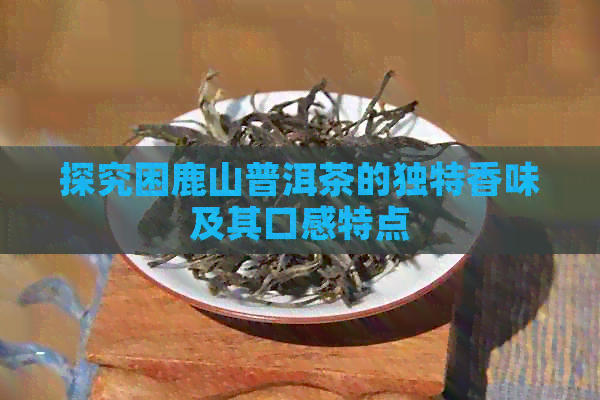 探究困鹿山普洱茶的独特香味及其口感特点