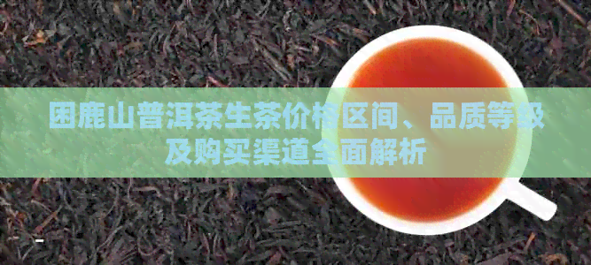 困鹿山普洱茶生茶价格区间、品质等级及购买渠道全面解析