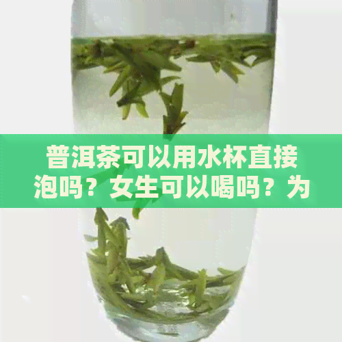 普洱茶可以用水杯直接泡吗？女生可以喝吗？为什么不能用普通的水杯泡呢？