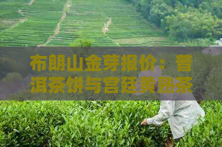 布朗山金芽报价：普洱茶饼与宫廷黄熟茶，品质优良，价格实。