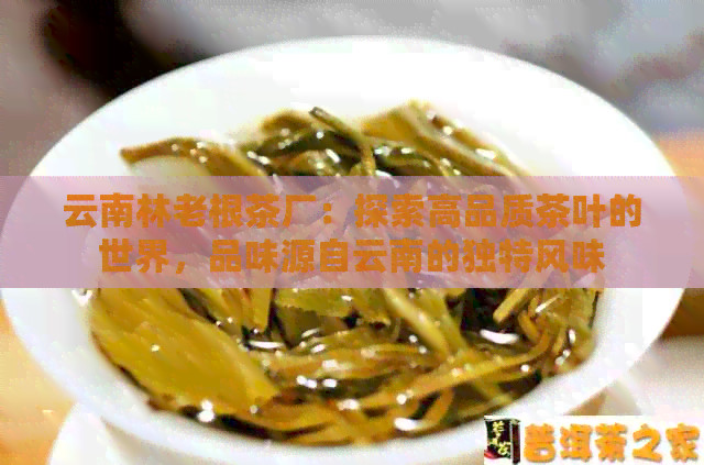 云南林老根茶厂：探索高品质茶叶的世界，品味源自云南的独特风味