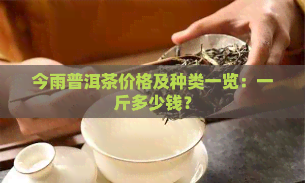 今雨普洱茶价格及种类一览：一斤多少钱？