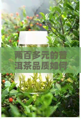 两百多元的普洱茶品质如何？怎样辨别好坏？