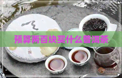 预算两百块买什么普洱茶