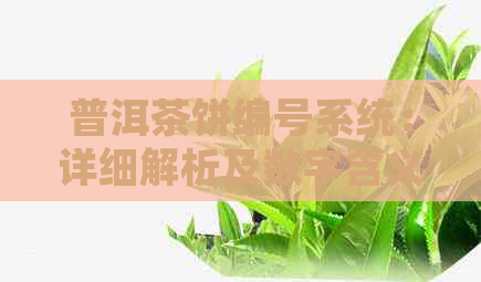 普洱茶饼编号系统：详细解析及数字含义