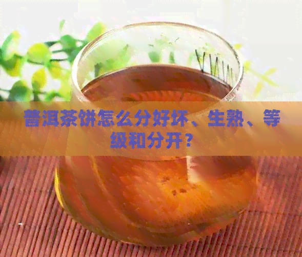 普洱茶饼怎么分好坏、生熟、等级和分开？