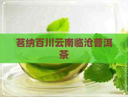 茗纳百川云南临沧普洱茶