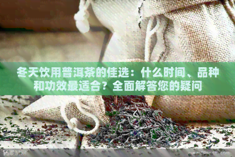 冬天饮用普洱茶的佳选：什么时间、品种和功效最适合？全面解答您的疑问