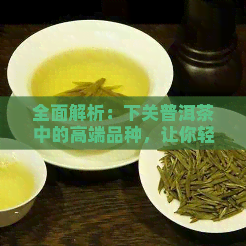 全面解析：下关普洱茶中的高端品种，让你轻松选购