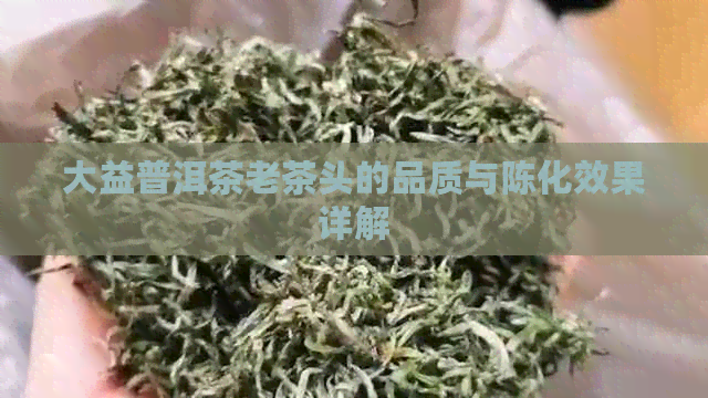 大益普洱茶老茶头的品质与陈化效果详解