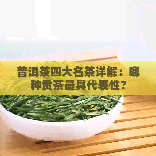 普洱茶四大名茶详解：哪种贡茶更具代表性？