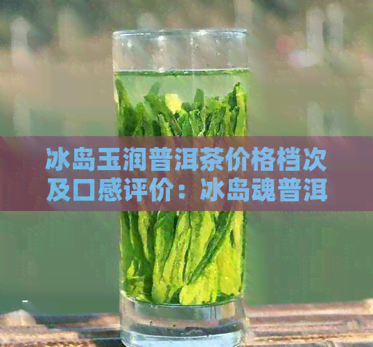 冰岛玉润普洱茶价格档次及口感评价：冰岛魂普洱茶好喝吗？