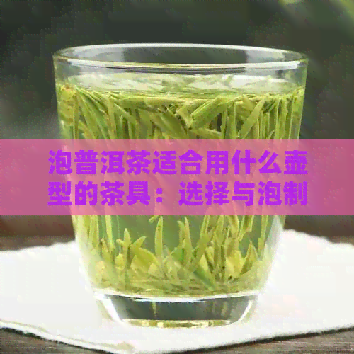 泡普洱茶适合用什么壶型的茶具：选择与泡制普洱茶的工具