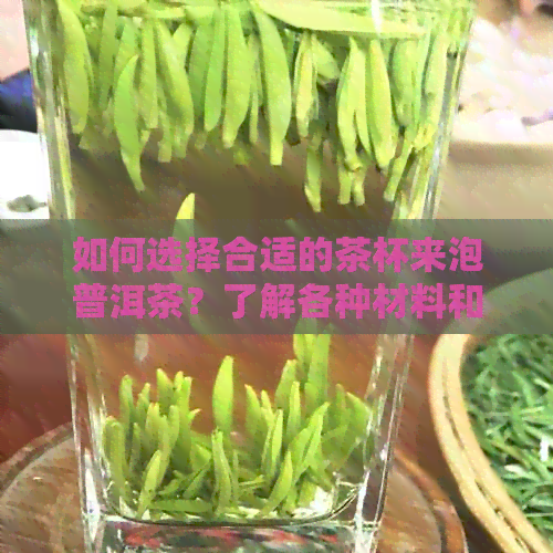 如何选择合适的茶杯来泡普洱茶？了解各种材料和形状的茶杯特点