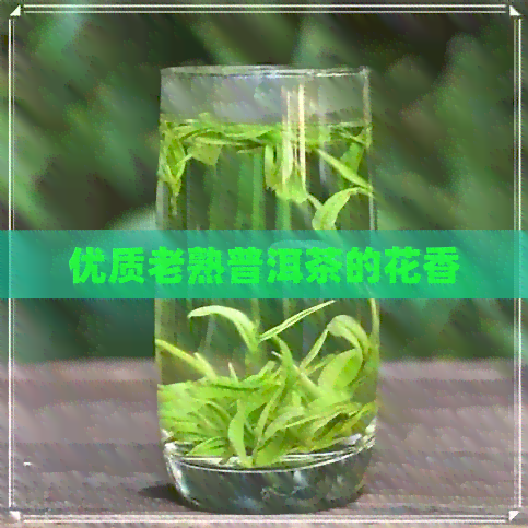 优质老熟普洱茶的花香