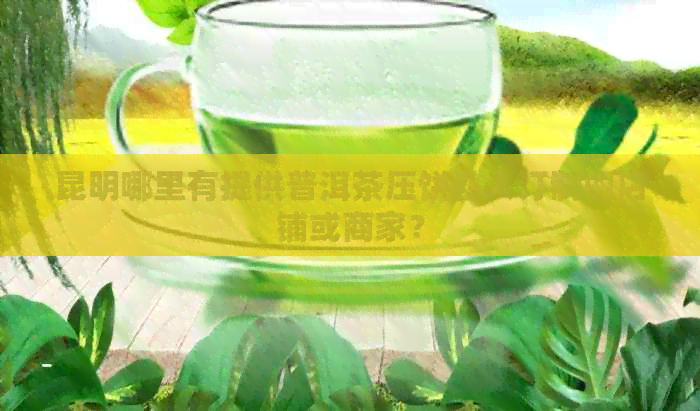 昆明哪里有提供普洱茶压饼私人订制的店铺或商家？