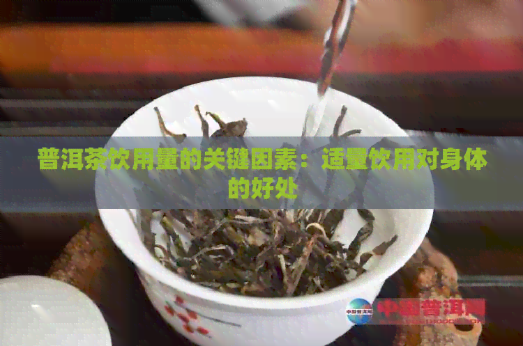 普洱茶饮用量的关键因素：适量饮用对身体的好处