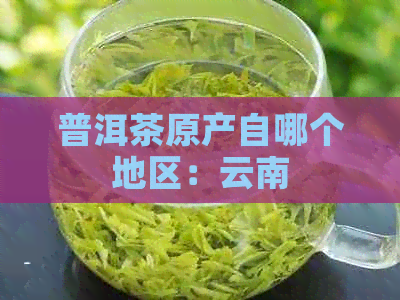 普洱茶原产自哪个地区：云南