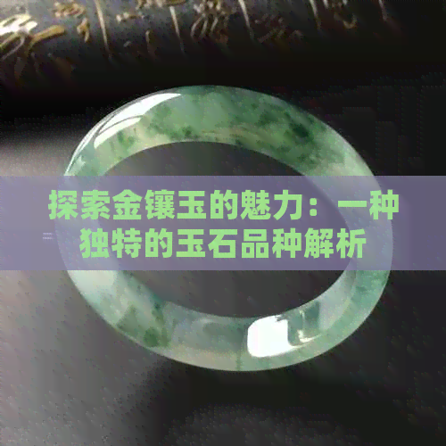 探索金镶玉的魅力：一种独特的玉石品种解析