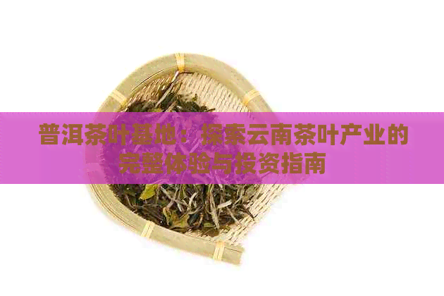 普洱茶叶基地：探索云南茶叶产业的完整体验与投资指南