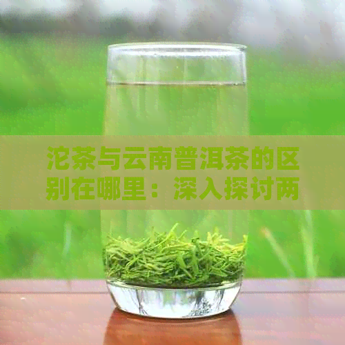 沱茶与云南普洱茶的区别在哪里：深入探讨两种茶叶的特征与差异