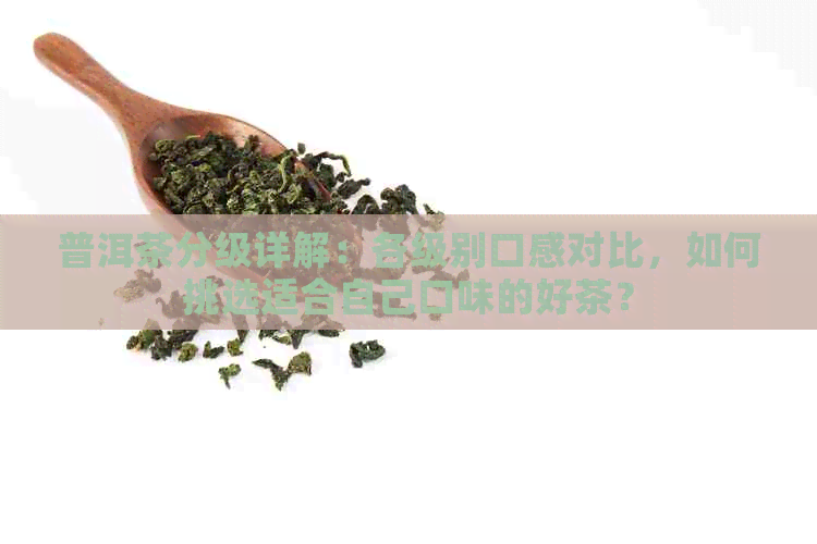 普洱茶分级详解：各级别口感对比，如何挑选适合自己口味的好茶？