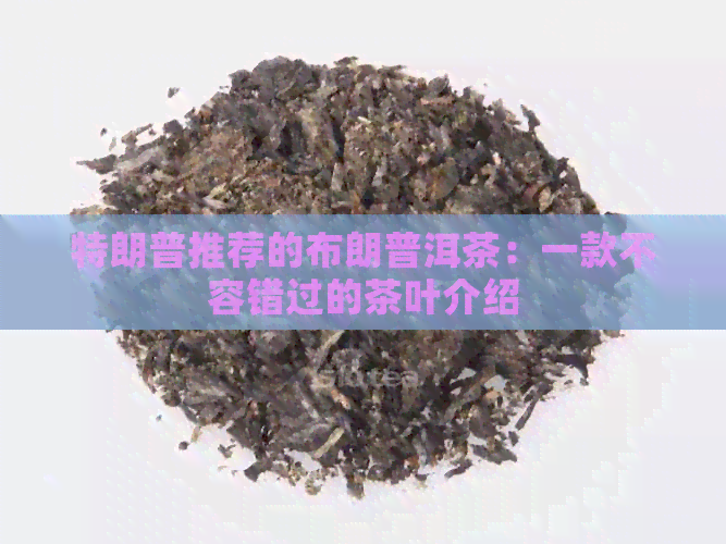 特朗普推荐的布朗普洱茶：一款不容错过的茶叶介绍