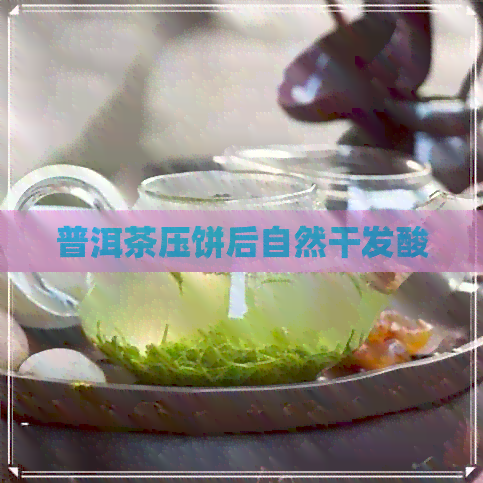 普洱茶压饼后自然干发酸