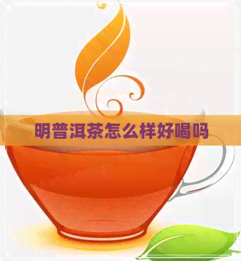 明普洱茶怎么样好喝吗